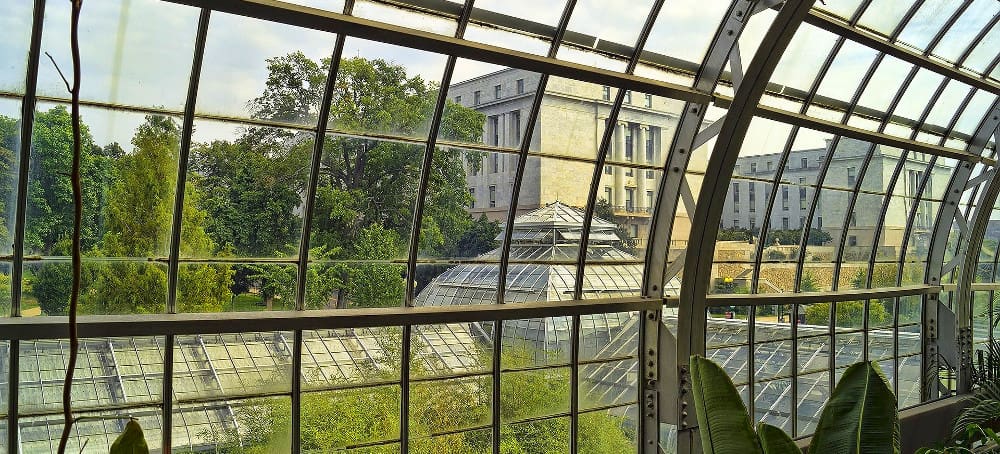 Clean Conservatory Roof Inside